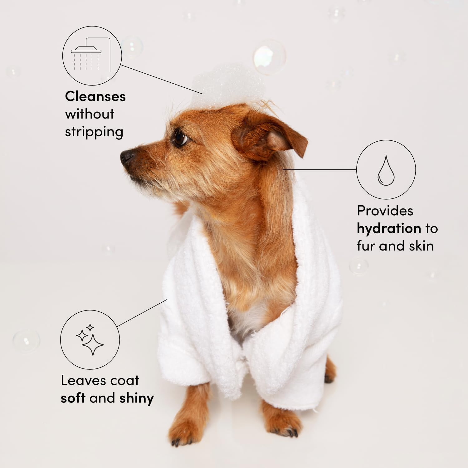 OUAI Fur Bébé Pet Shampoo – Hydrating Dog Coat Wash (16 FL OZ)