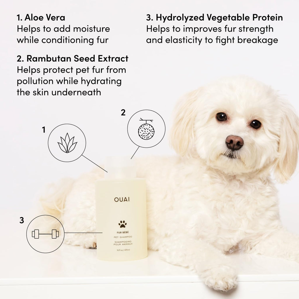 OUAI Fur Bébé Pet Shampoo – Hydrating Dog Coat Wash (16 FL OZ)