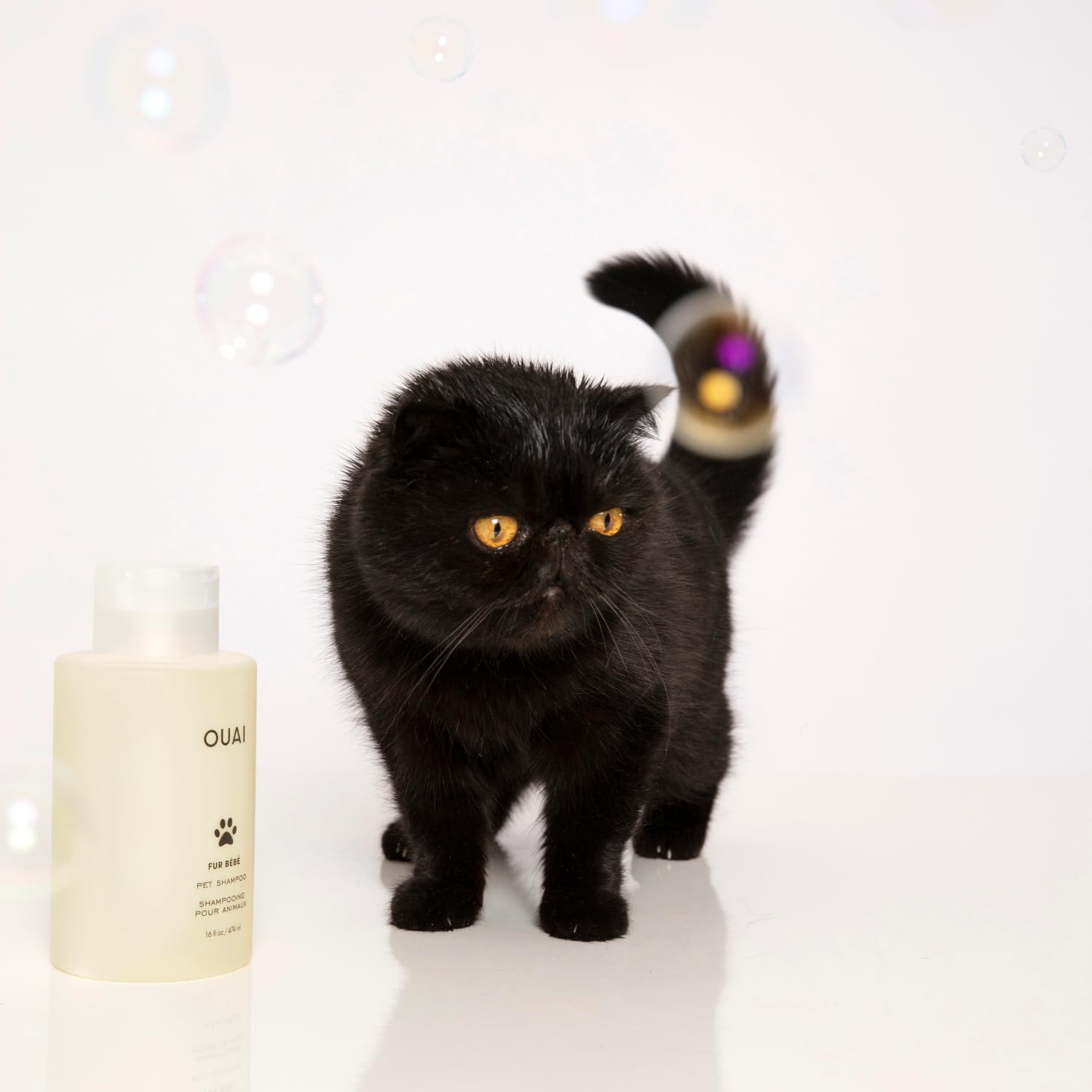 OUAI Fur Bébé Pet Shampoo – Hydrating Dog Coat Wash (16 FL OZ)