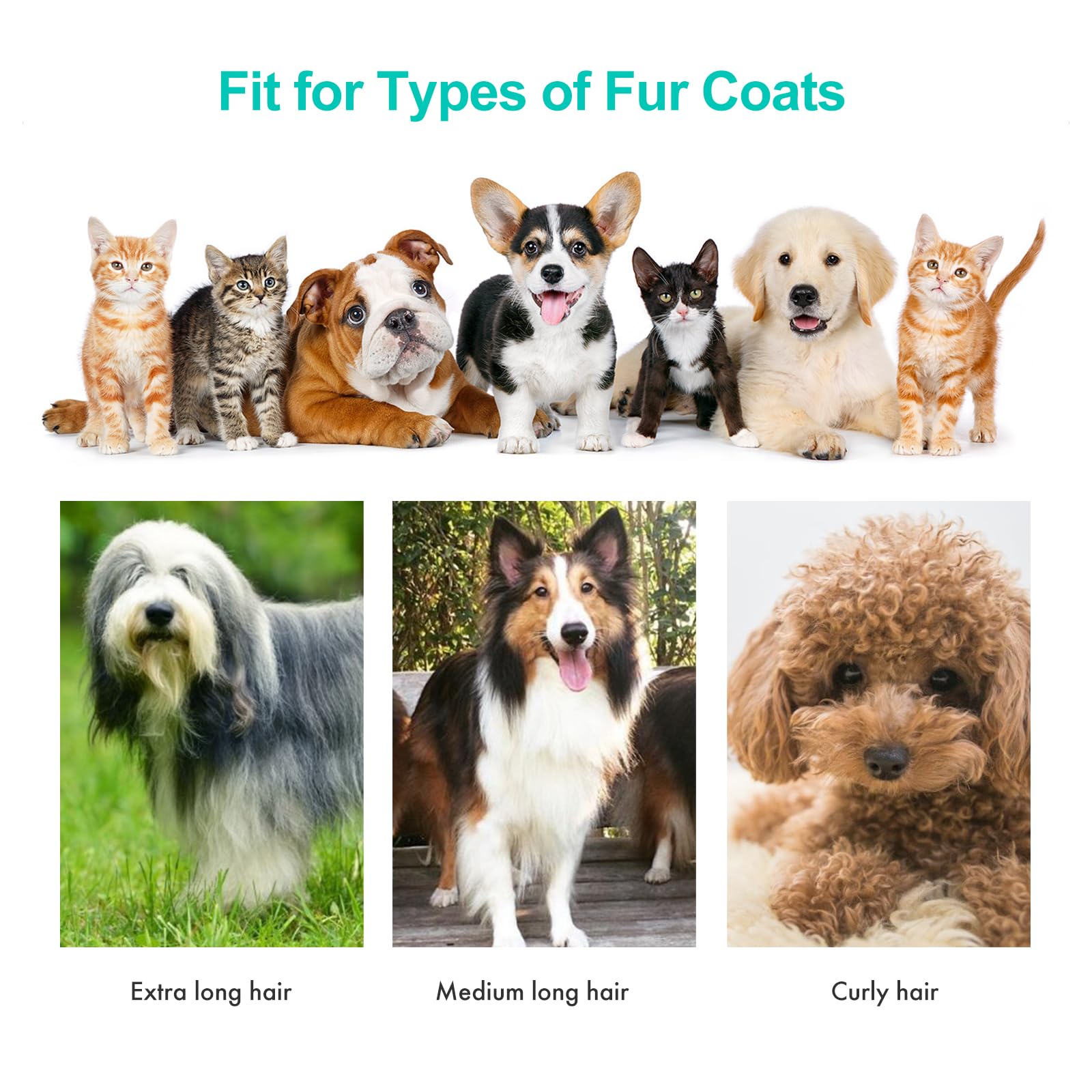 Neakasa P1 Pro Pet Grooming Kit & Vacuum Suction 99% Pet Hair, Professional Clippers with 5 Proven Grooming Tools for Dog and Cat