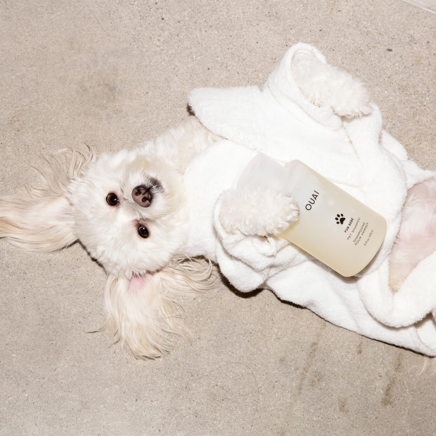 OUAI Fur Bébé Pet Shampoo – Hydrating Dog Coat Wash (16 FL OZ)