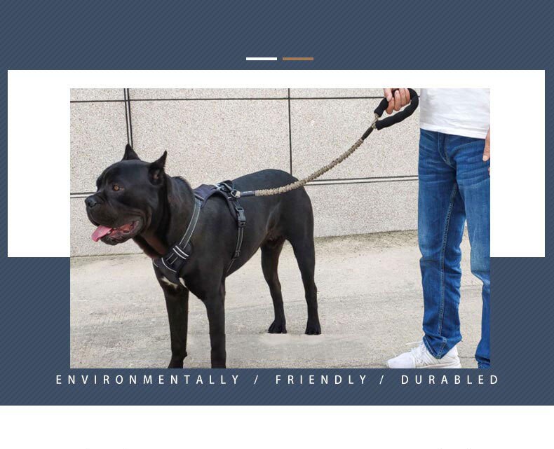 Nylon Pet Dog Leash Collar Durable Traction Rope Outdoor Pet Walking Lead Leashes for Large Dogs Cats Pets Training Supplies